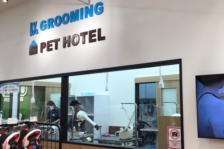 ペテモ京都桂川店 基本情報 ペテモ Petemo イオンペット Aeon Pet