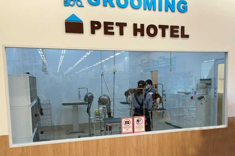 ペテモ熊谷店 基本情報 ペテモ Petemo イオンペット Aeon Pet