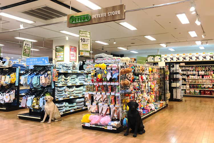 イオンペット 茅ヶ崎店