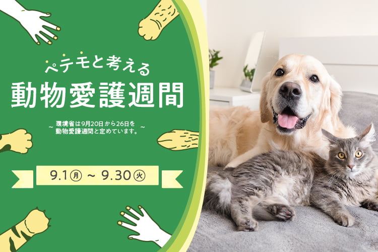 ペテモと考える動物愛護週間