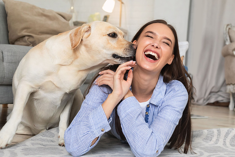 愛犬のストレスサイン見逃してない 原因の見極め方とストレス発散法 ペテモ Petemo イオンペット Aeon Pet