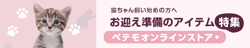 先輩飼い主はどう選んだ？ 子猫お迎え準備のグッズや心構えについて106