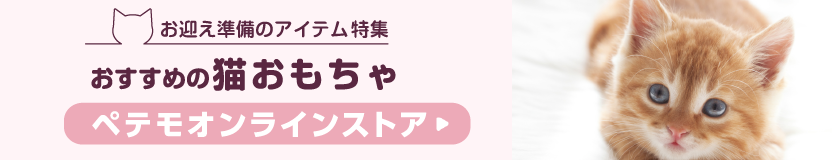 先輩飼い主はどう選んだ？ 子猫お迎え準備のグッズや心構えについて106