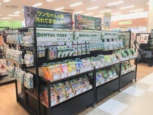 aeon pet イオンペット トップ もりの里店