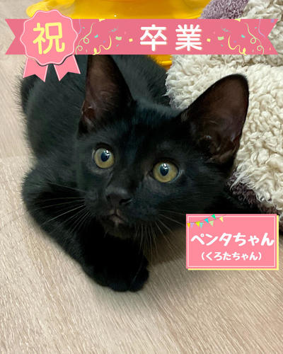❶くろた卒業 (2026_9_7 11_08_29 1080x1350px).jpg