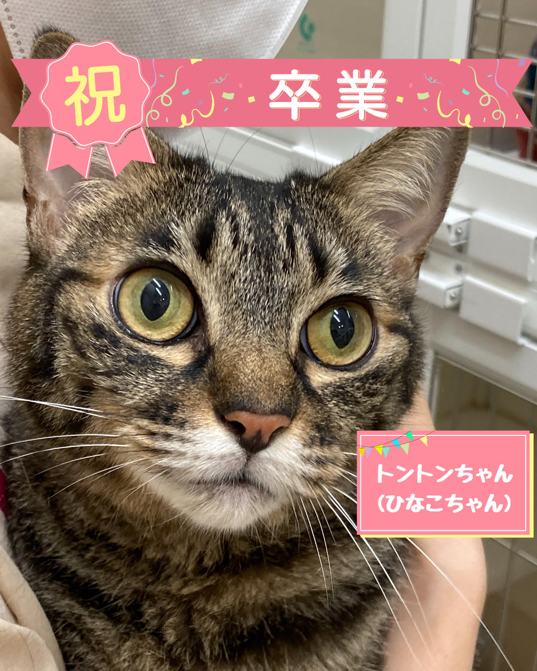 卒業　ひなこ (2026_8_25 11_24_54 1080x1350px).jpg
