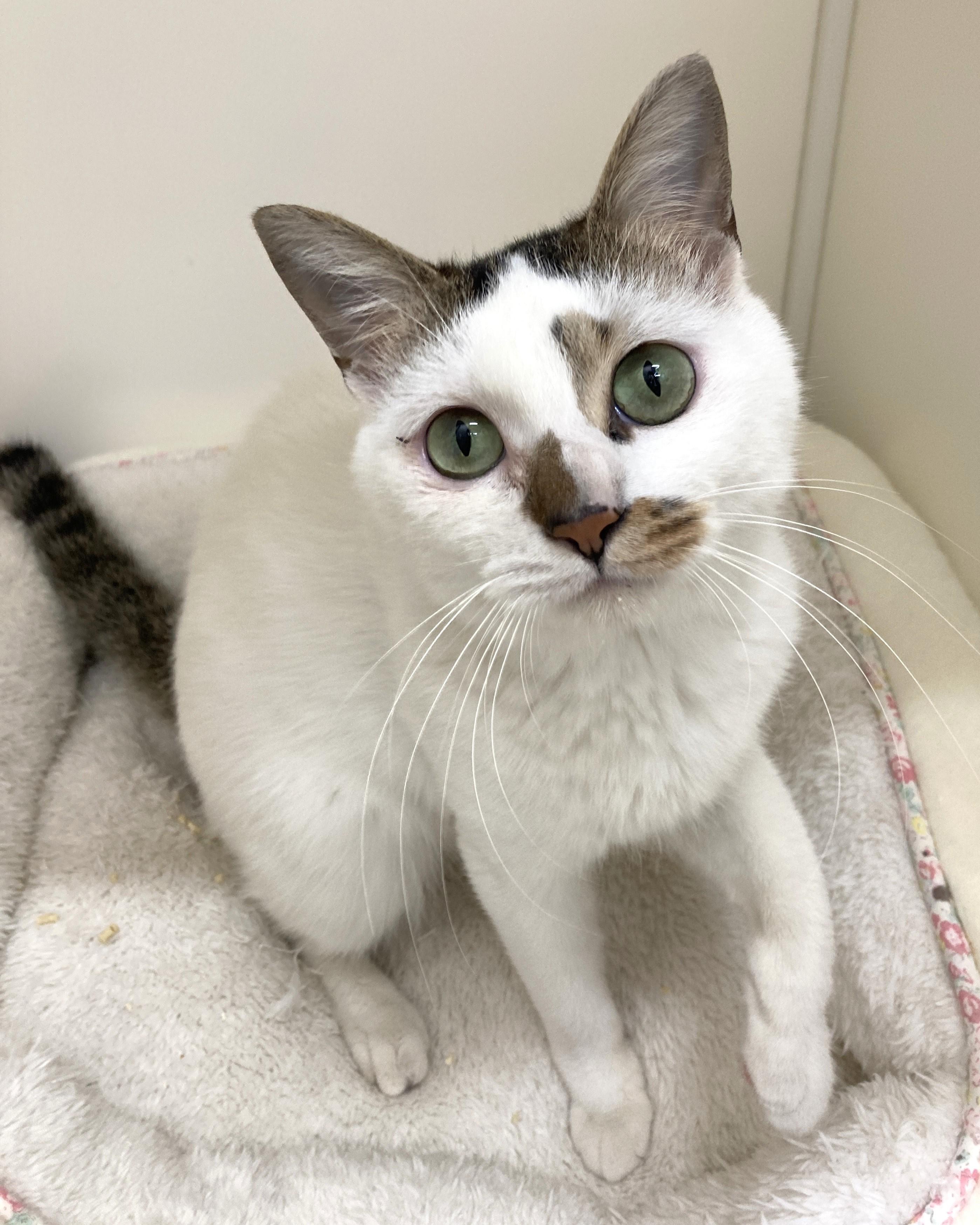 Image_20251121_152820_983 - コピー.jpeg