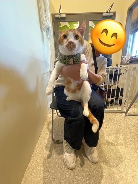 IMG_6149 (1) (3).jpg