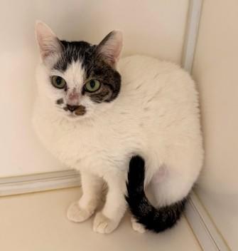 IMG_4018 - コピー.jpeg