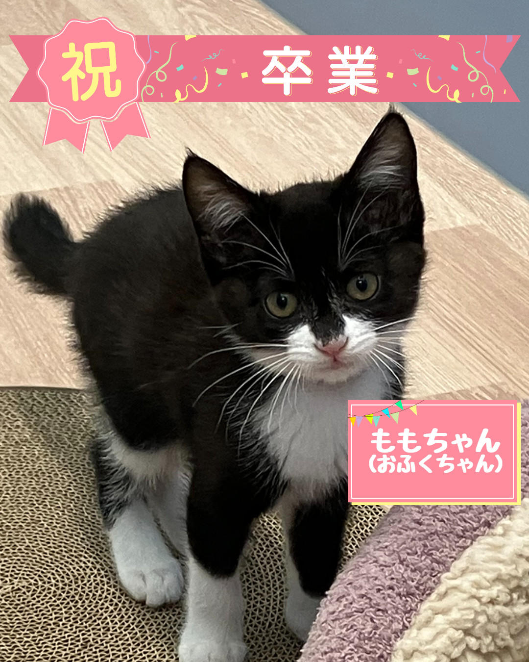 おふく卒業 (2026_7_8 14_32_22 1080x1350px).jpg