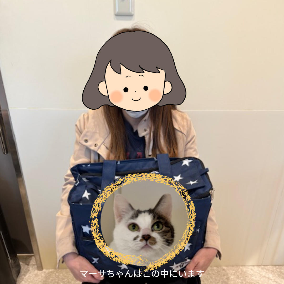 田白_卒業③ (2026_3_25 16_59_26 1080x1080px).jpg