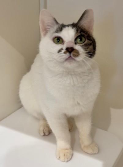 IMG_4401 - コピー.jpeg