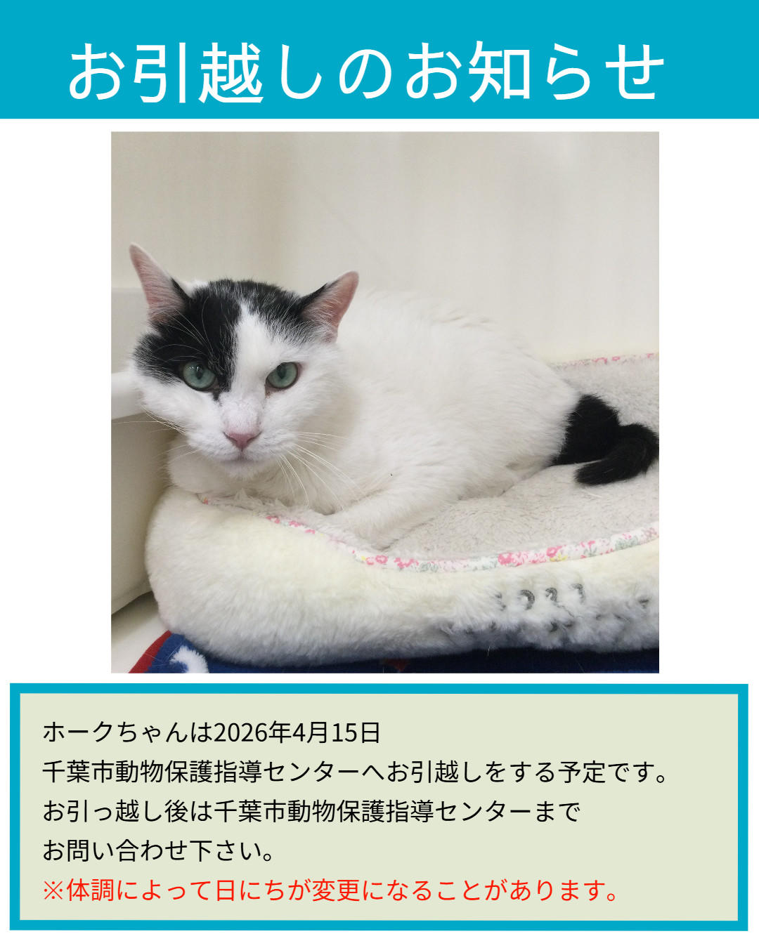 お引越し_ホーク (2026_4_14 12_15_31 1080x1350px).jpg