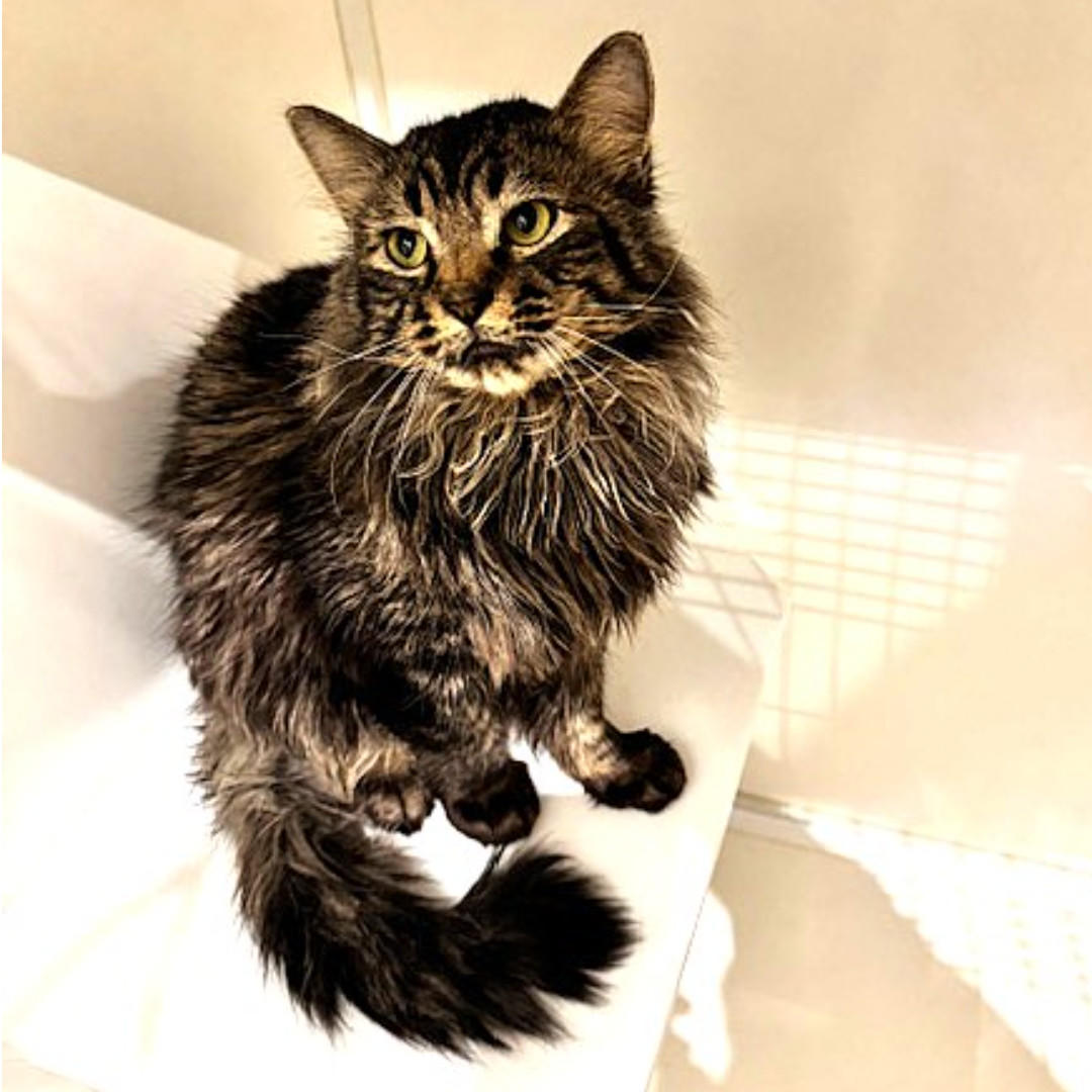 リュークス_卒業② (2025_12_29 11_37_42 1080x1080px).jpg