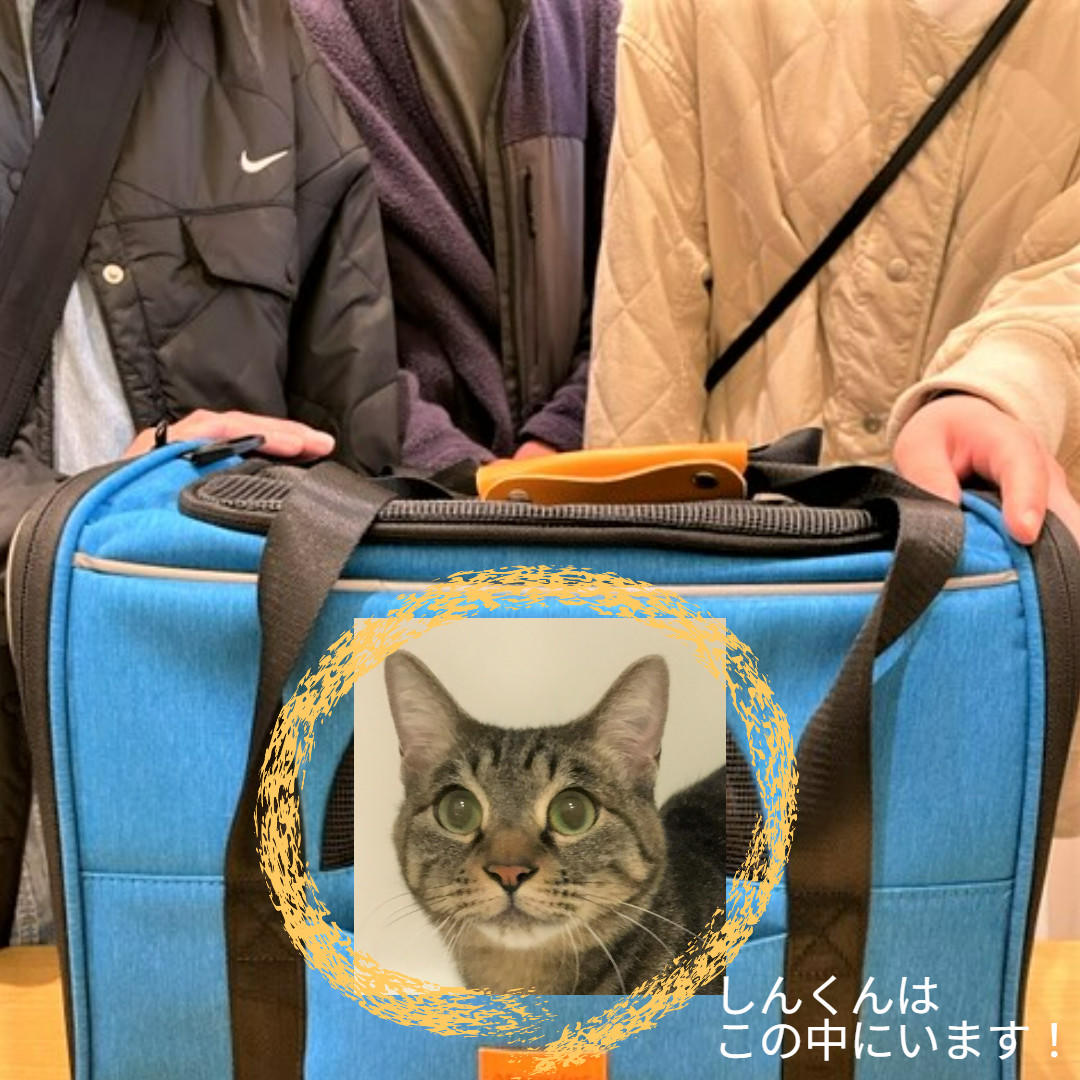 しん_卒業インスタ③ (2025_4_1 12_10_20 1080x1080px).jpg