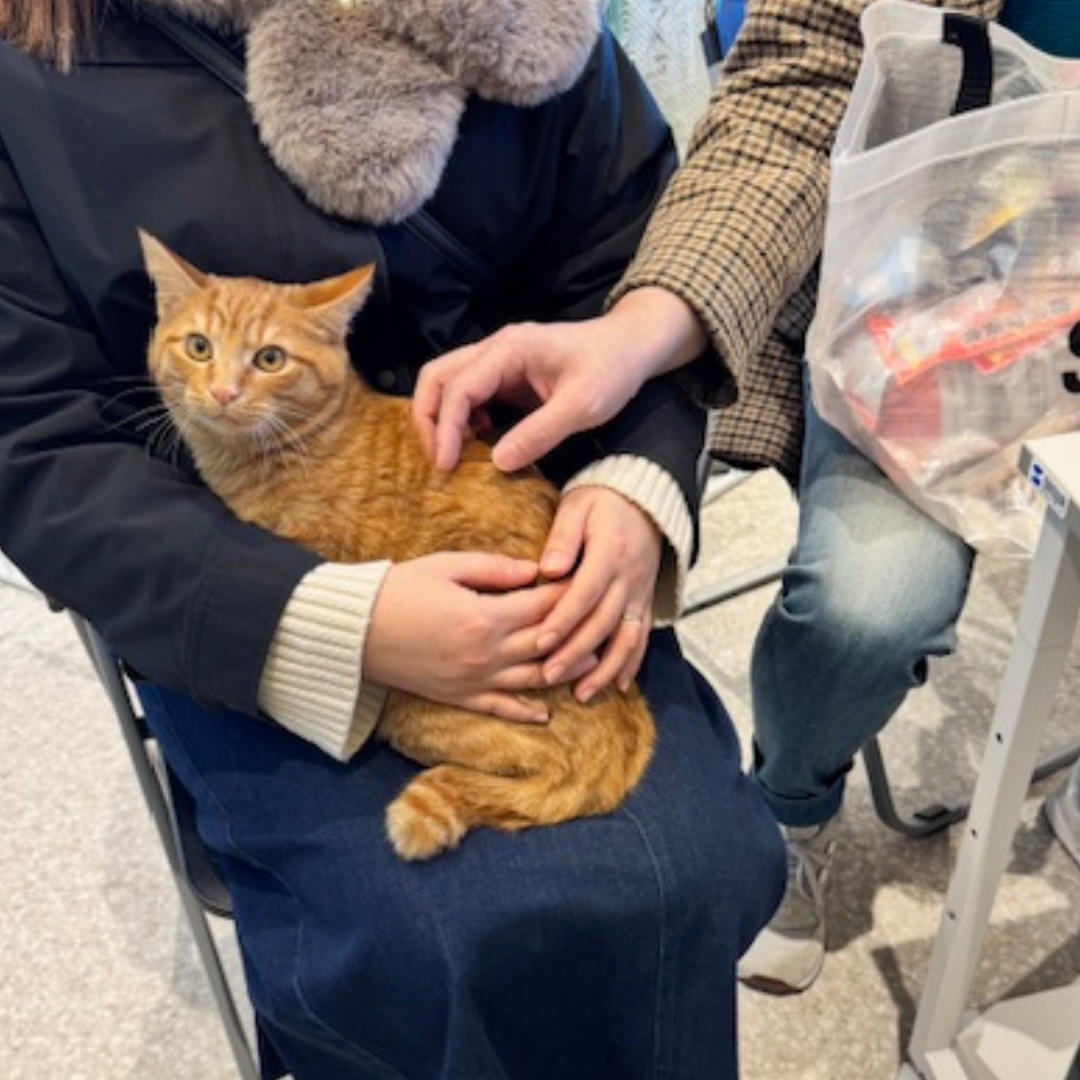 ロン_卒業③ (2025_12_19 14_27_24 1080x1080px).jpg