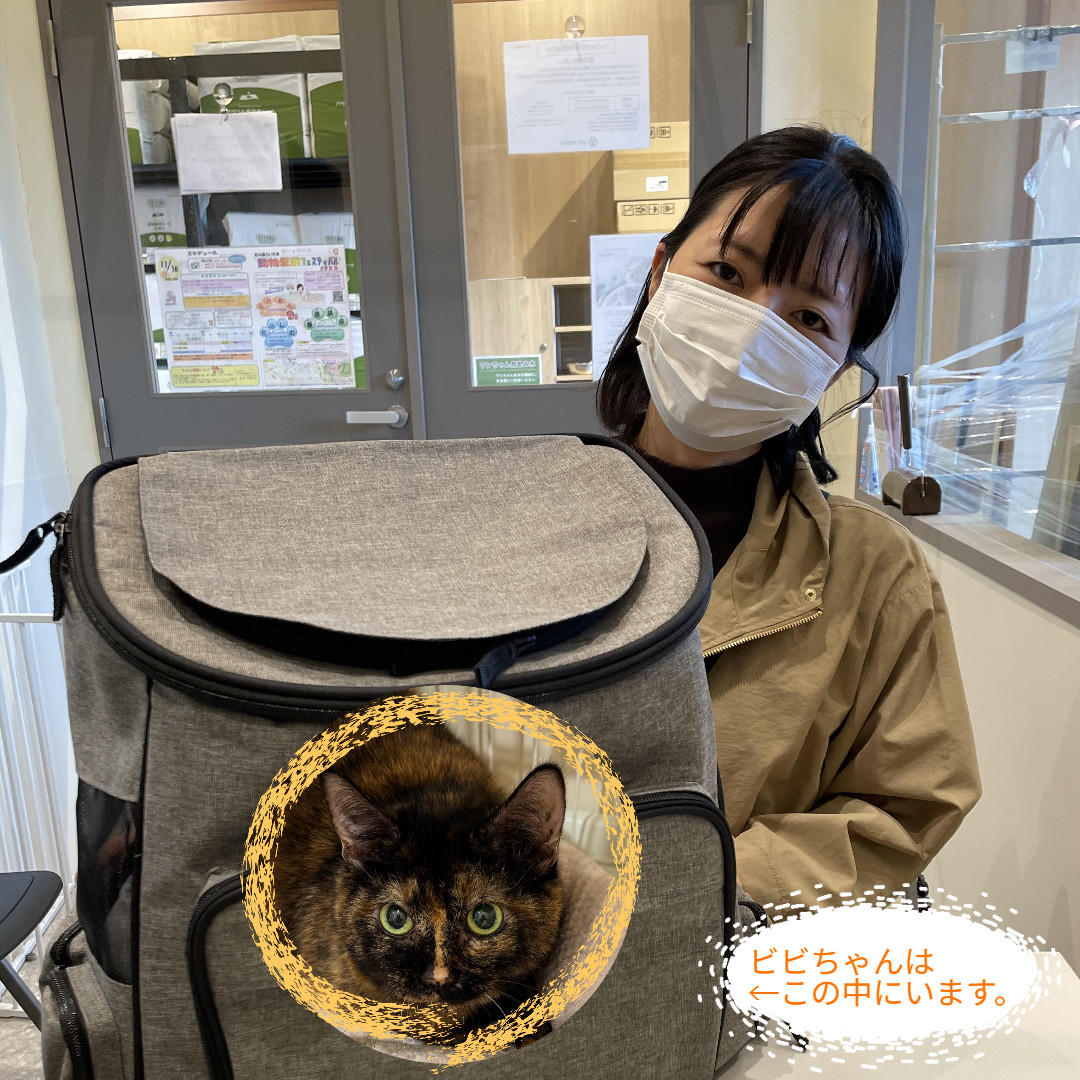 ビヨンセ_卒業③ (2025_10_30 10_52_45 1080x1080px).jpg