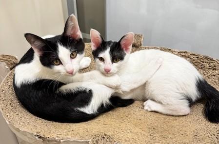 IMG_3515 - コピー - コピー.jpg