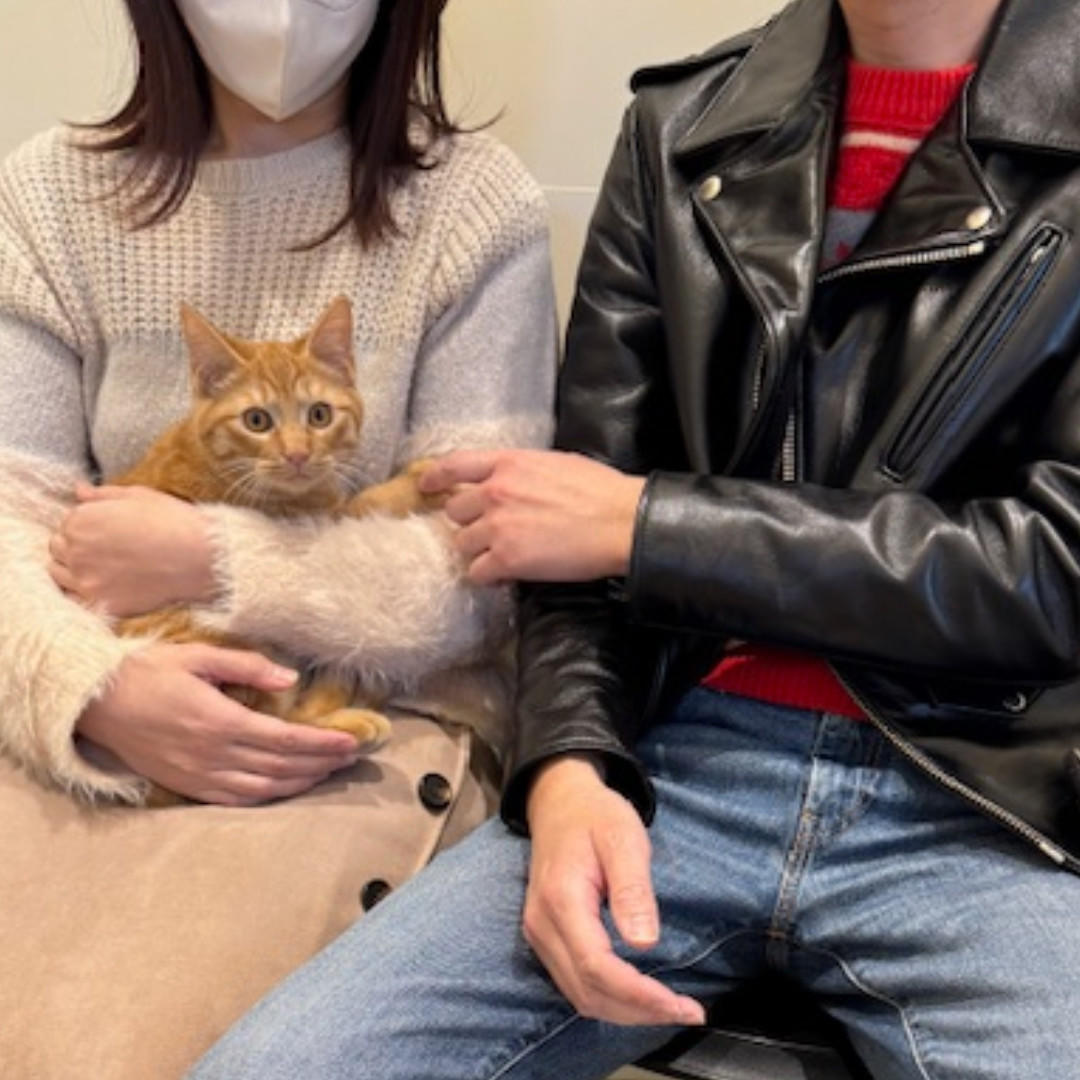 ハリー_卒業③ (2025_12_13 16_46_29 1080x1080px).jpg