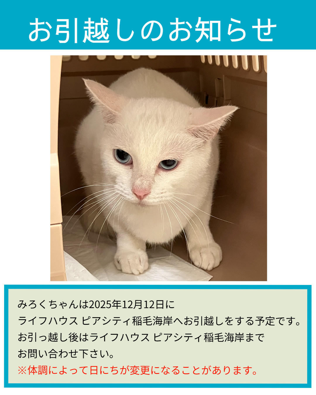 お引越し_みろく (2025_12_10 16_48_42 1080x1350px).jpg