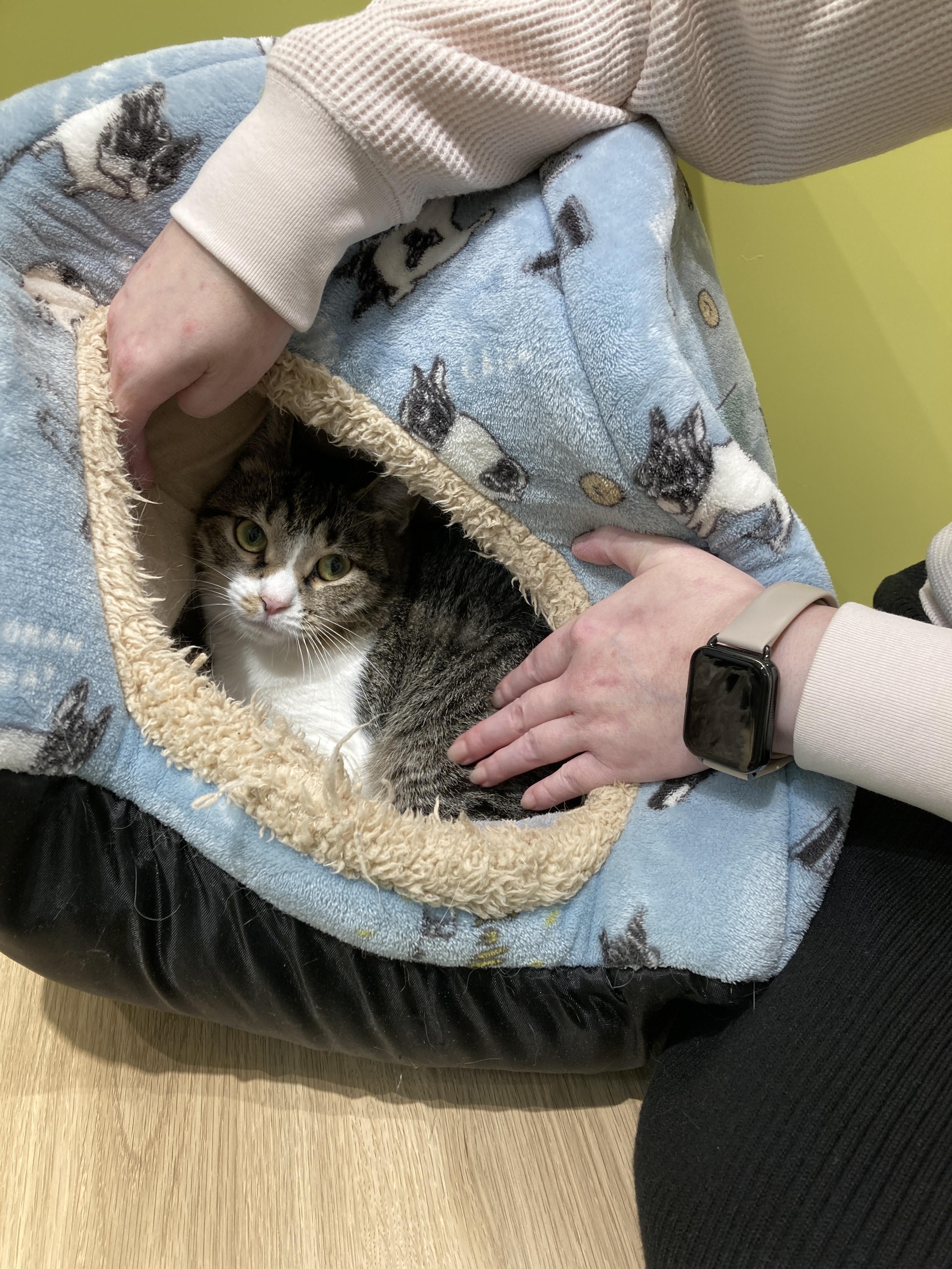 Image_20251029_170610_421 (1).jpeg