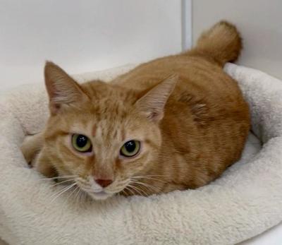 Image_20251108_112434_3393 (1).jpeg