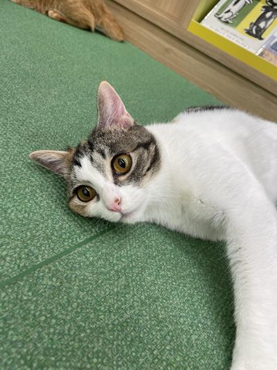 Image_20251207_132651_853 (1).jpeg