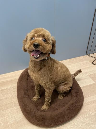 Image_20260123_080307_754 (1).jpeg