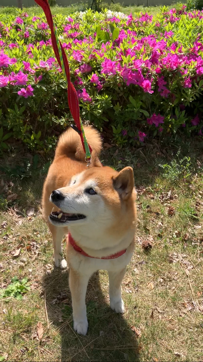 Image_20260523_151642_488.png