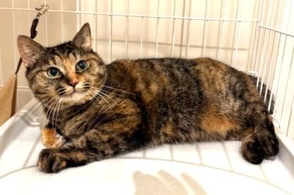 IMG_3501 - コピー.jpg