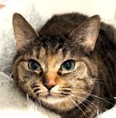 IMG_3595 - コピー.jpg