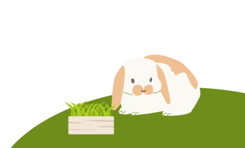 うさぎのイラスト