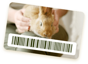 うさぎの会員証